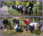 Алеї Слави та Пам’яті воїнів Алеї Слави та Пам’яті воїнів