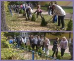 Алеї Слави та Пам’яті воїнів Алеї Слави та Пам’яті воїнів